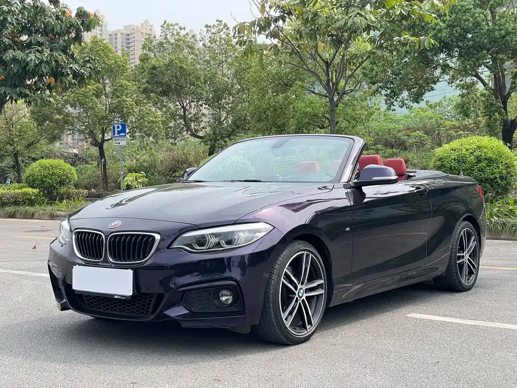BMW 2 Series 2019 — фото 1