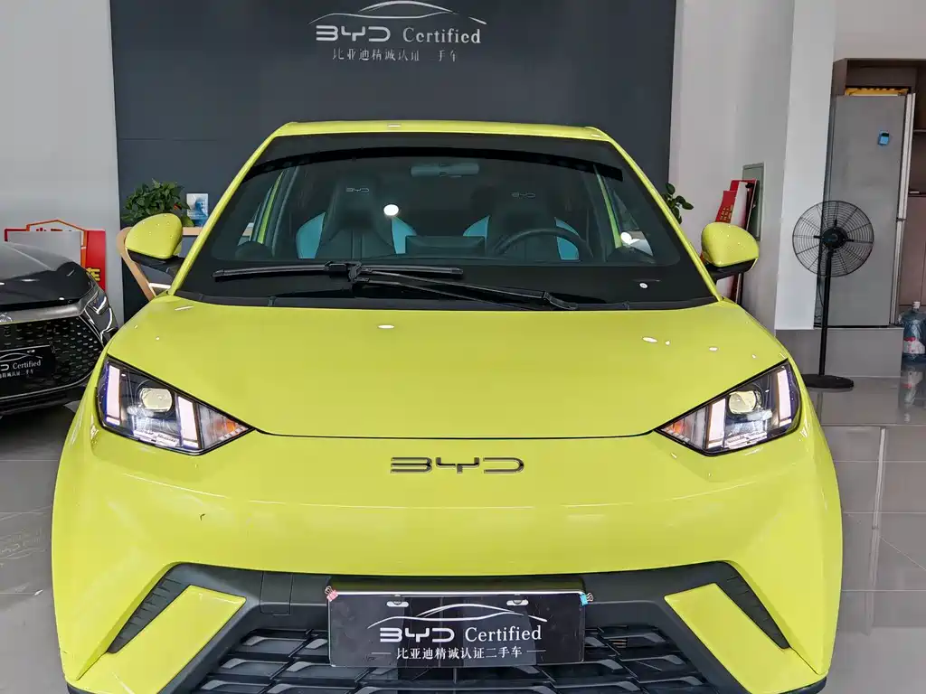 BYD Seagull 2024
