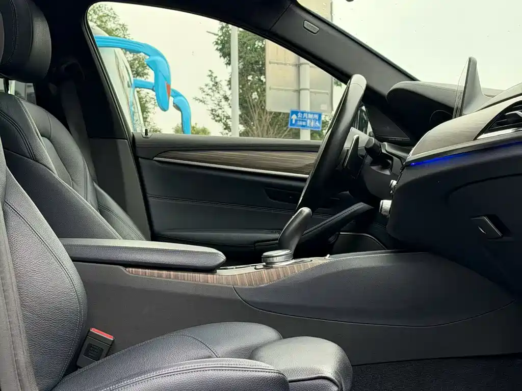 BMW 5 Series 2019