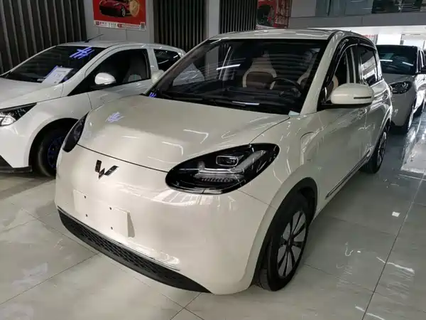 Wuling Bingo 2024