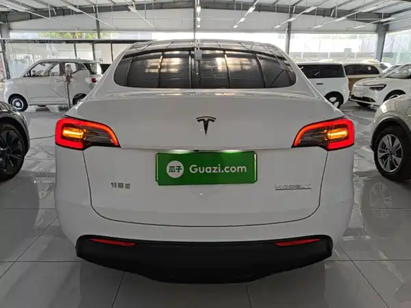 Tesla Model Y 2021
