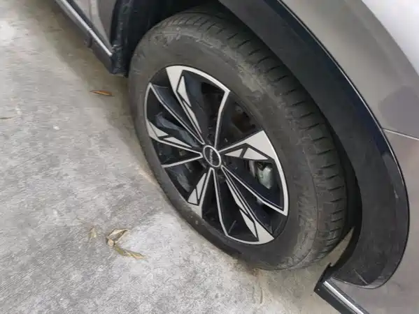 Roewe RX5 New Energy 2025