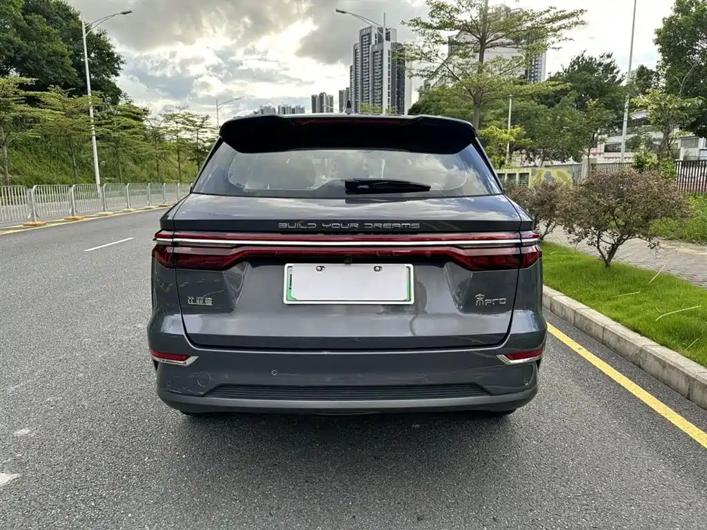BYD Pro New Energy 2021