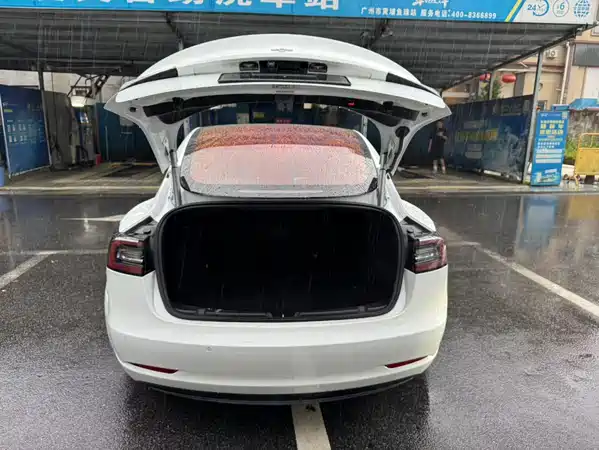 Tesla Model 3 2019