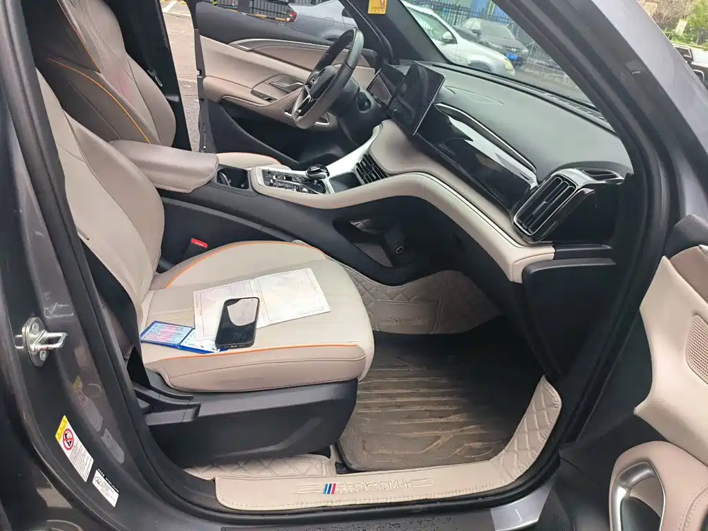 BYD Song Pro New Energy 2024 — фото 19