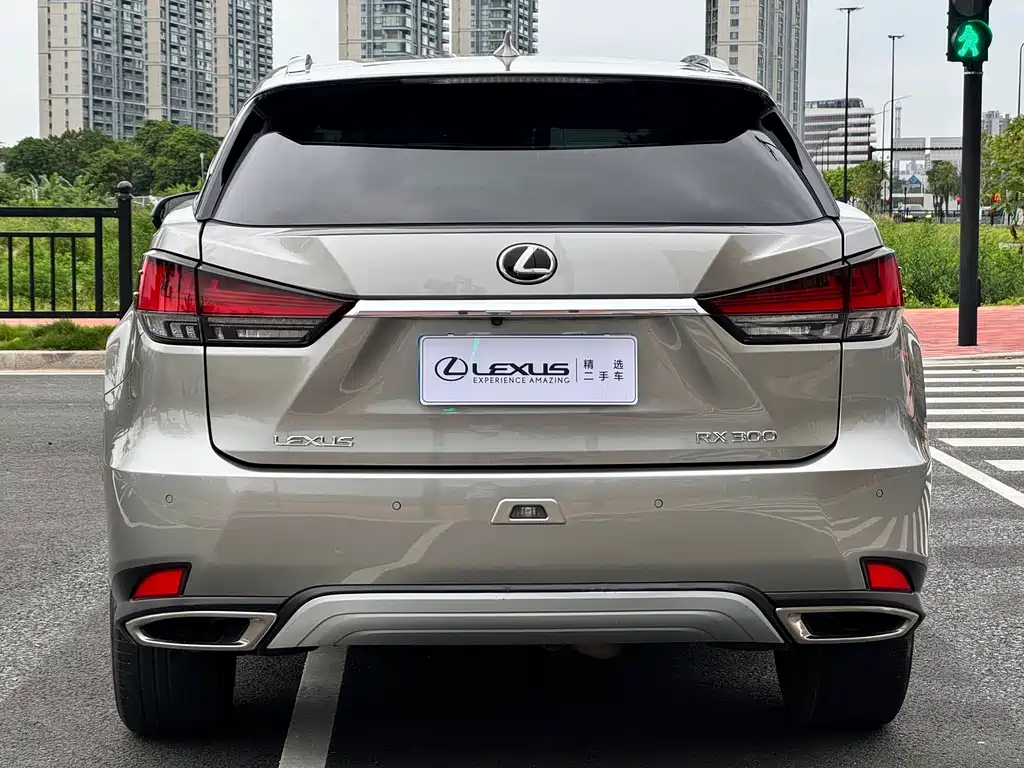 Lexus RX 2020 — фото 12