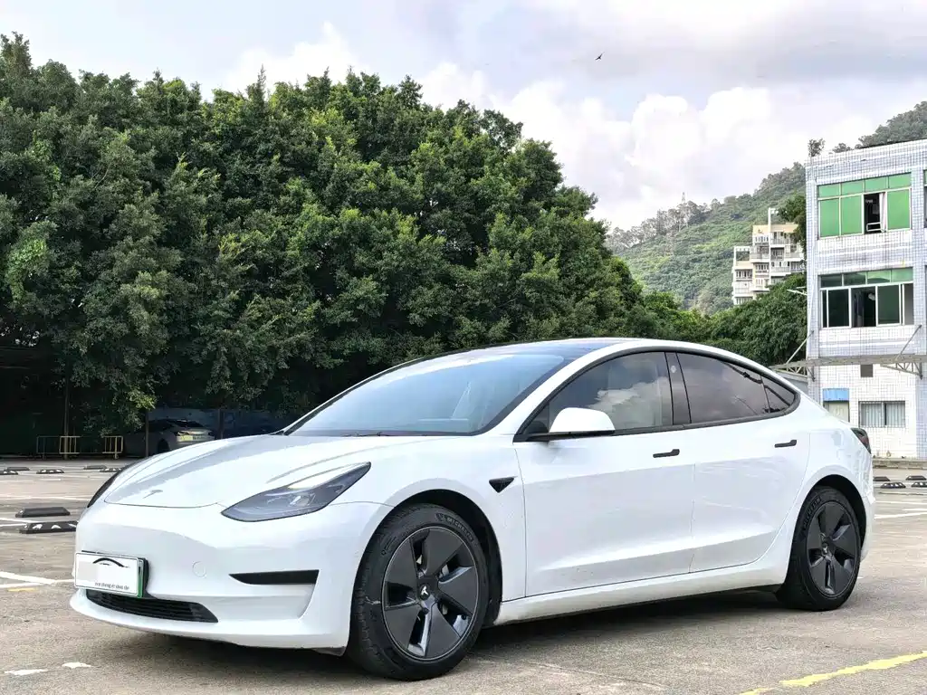 Tesla Model 3 2021 — фото 1