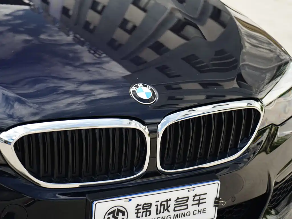 BMW 5 Series 2019 — фото 11