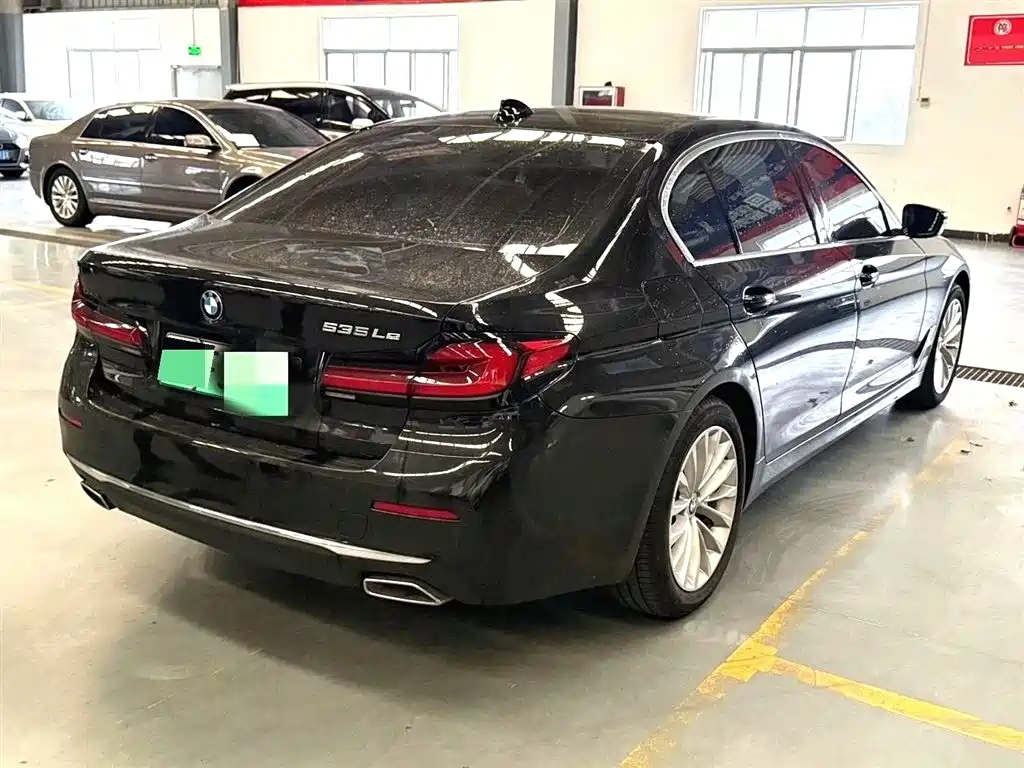 BMW 5 Series New Energy 2020 — фото 4