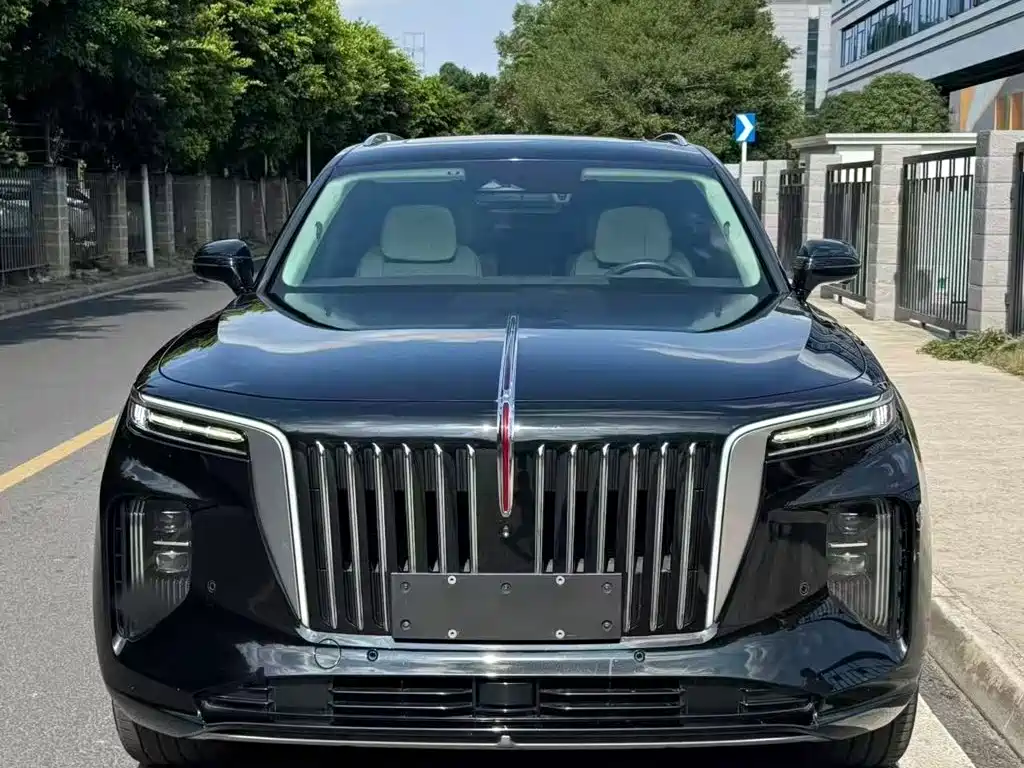 Hongqi E-HS9 2021