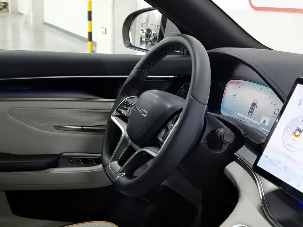 BYD Song PLUS New Energy 2024 — фото 22