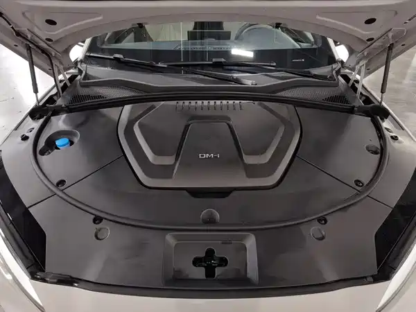 BYD Song PLUS New Energy 2024
