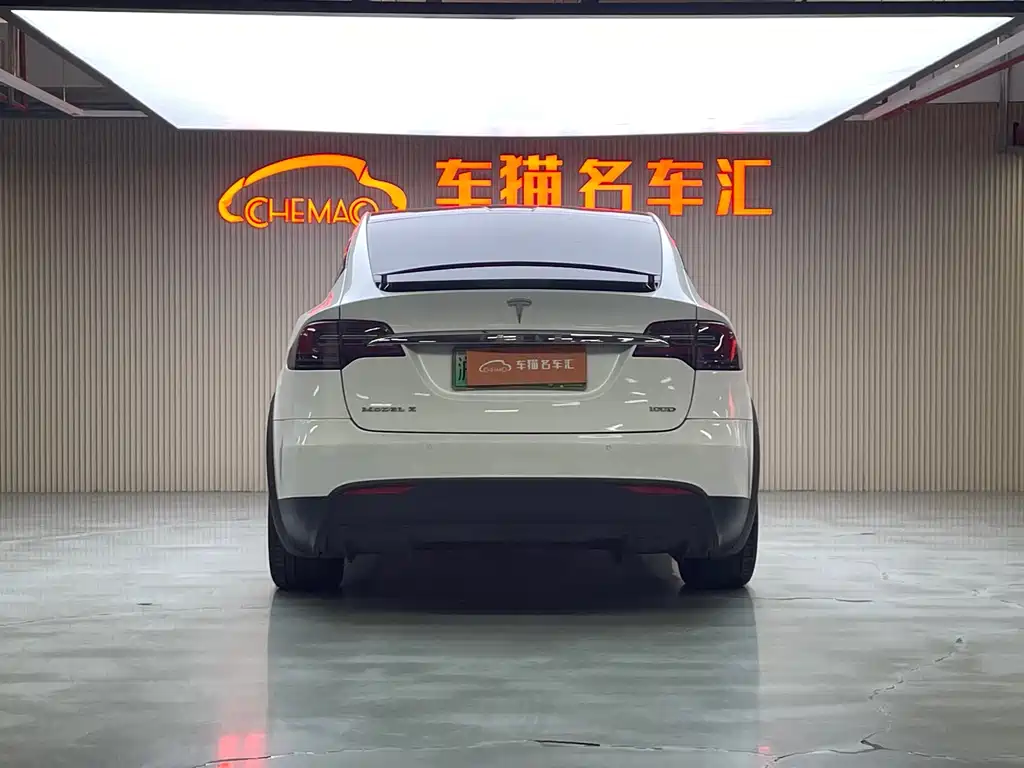 Tesla Model X 2018 — фото 21