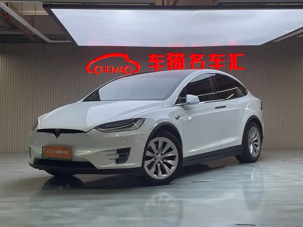Tesla Model X 2018 — фото 23