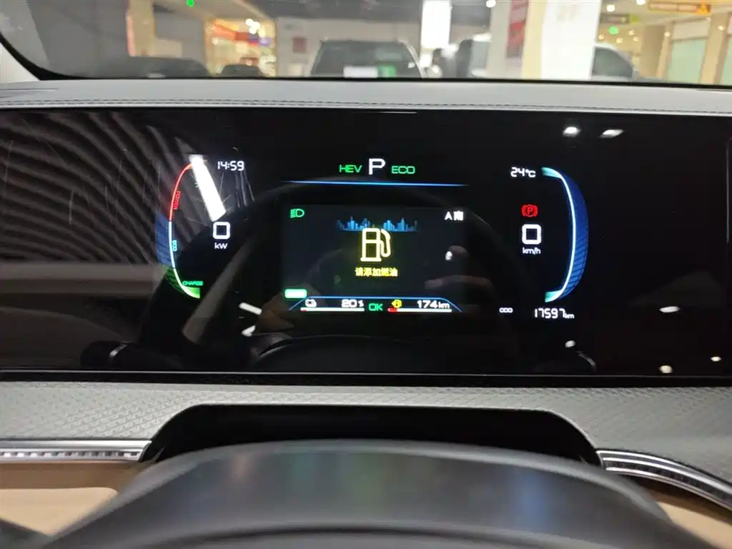 BYD Pro New Energy 2025 — фото 12