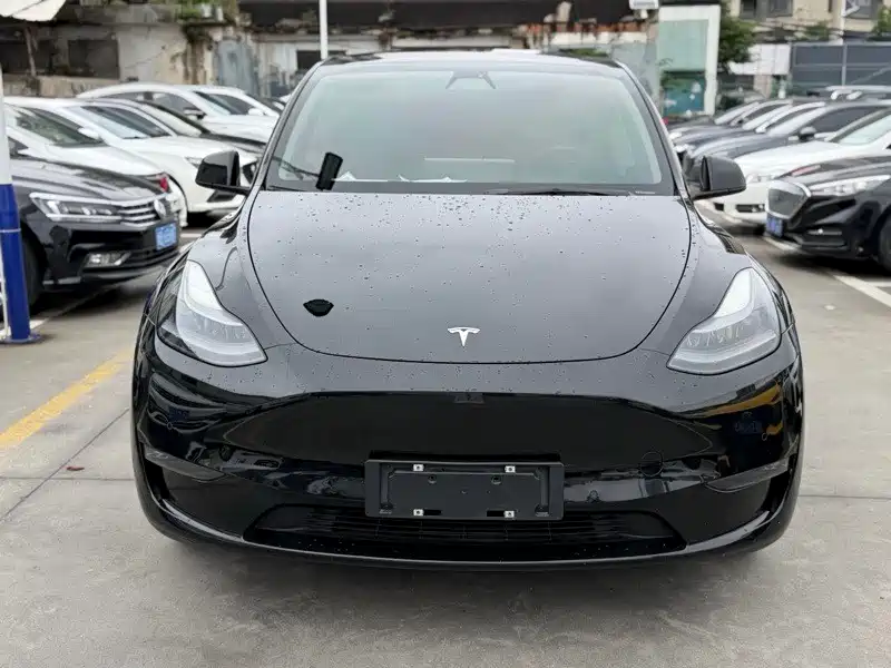 Tesla Model Y 2021 — фото 2
