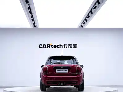 MINI MINI 2019