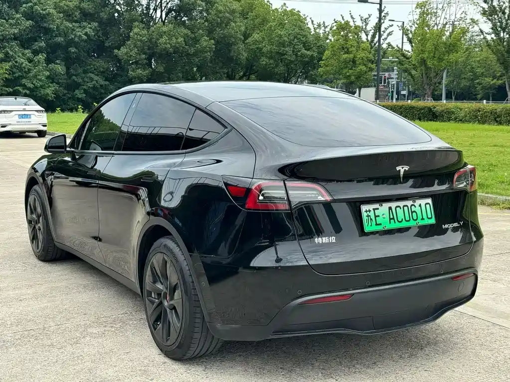Tesla Model Y 2023 — фото 4