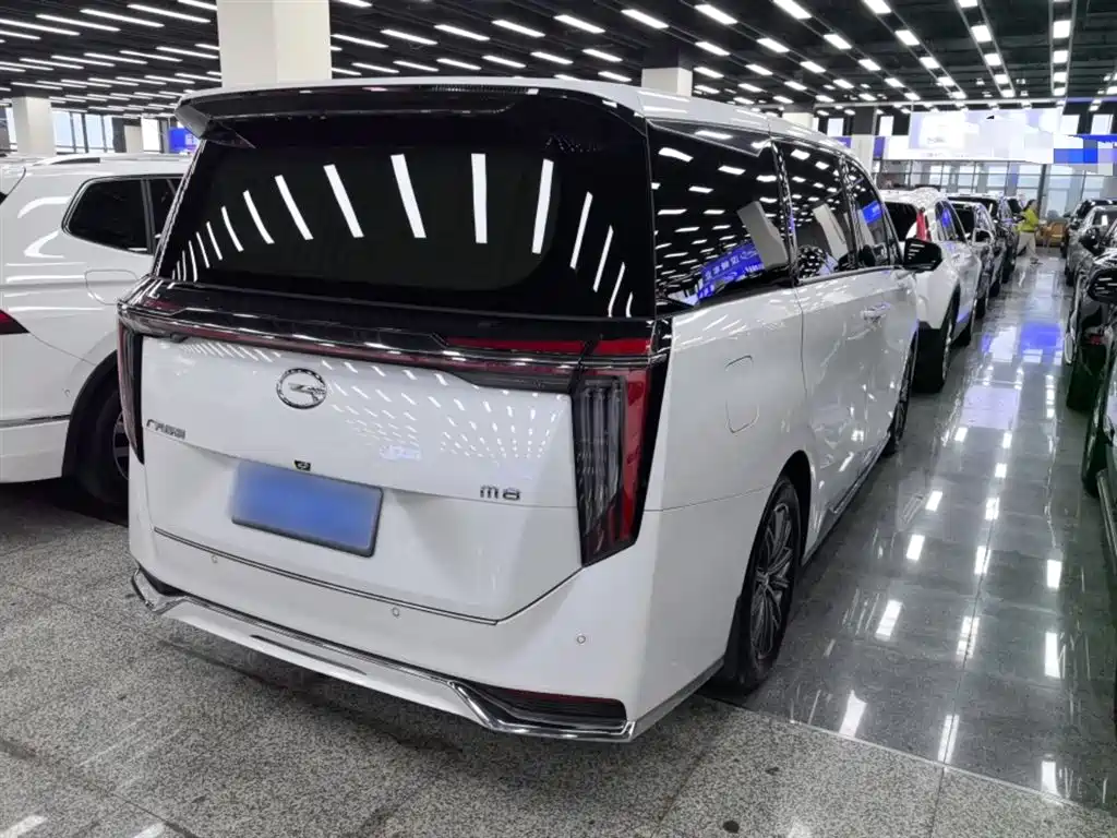 GAC Motor Trumpchi M8 2024 — фото 7