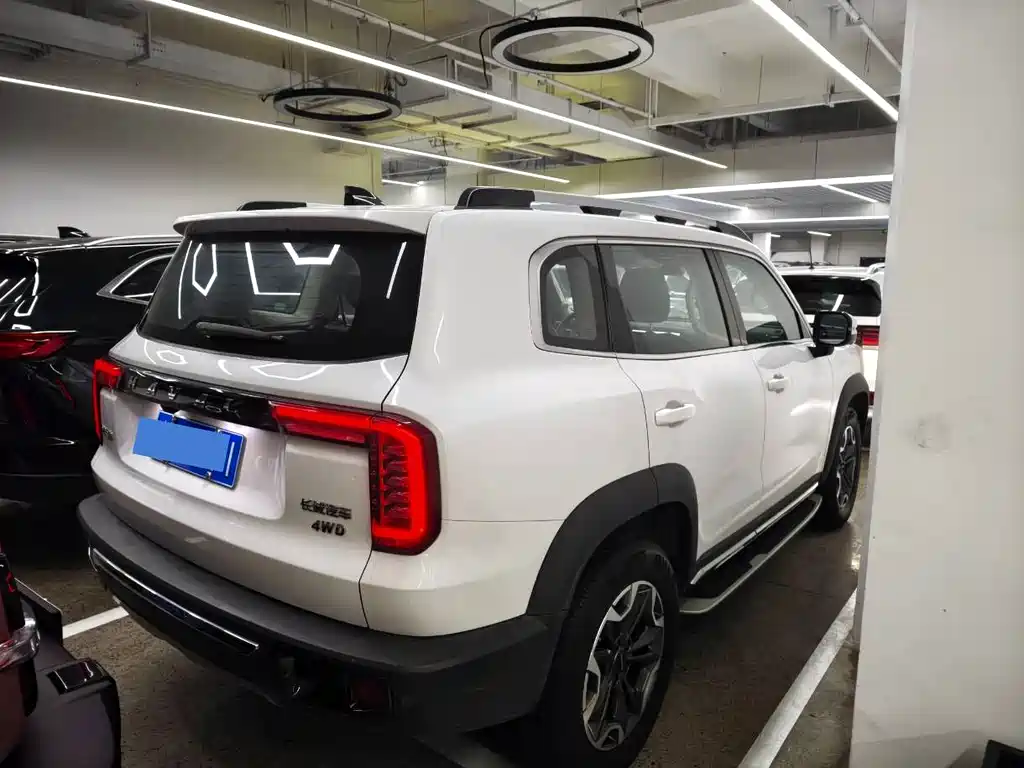 Haval Big Dog 2021 — фото 18