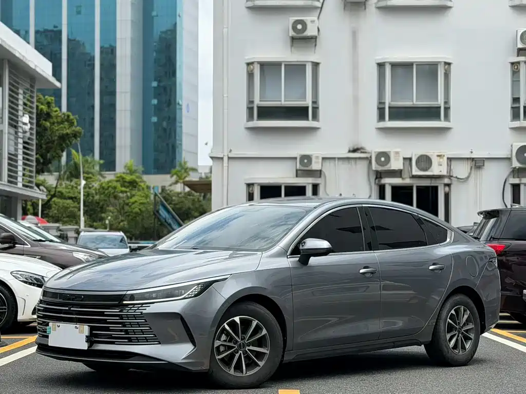 BYD Destroyer 05 2024