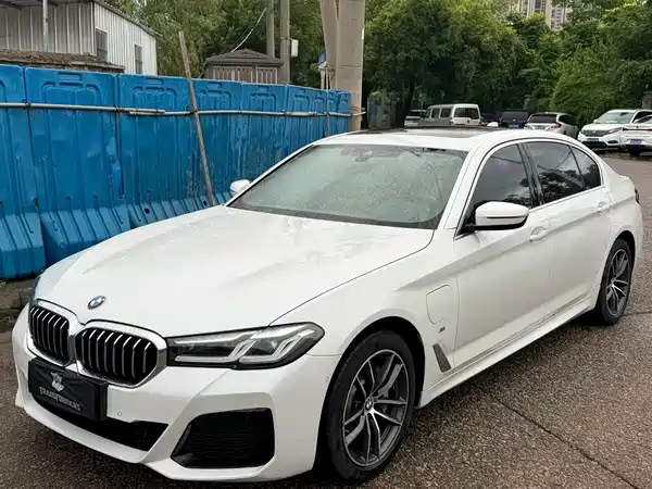 BMW 5 Series New Energy 2021