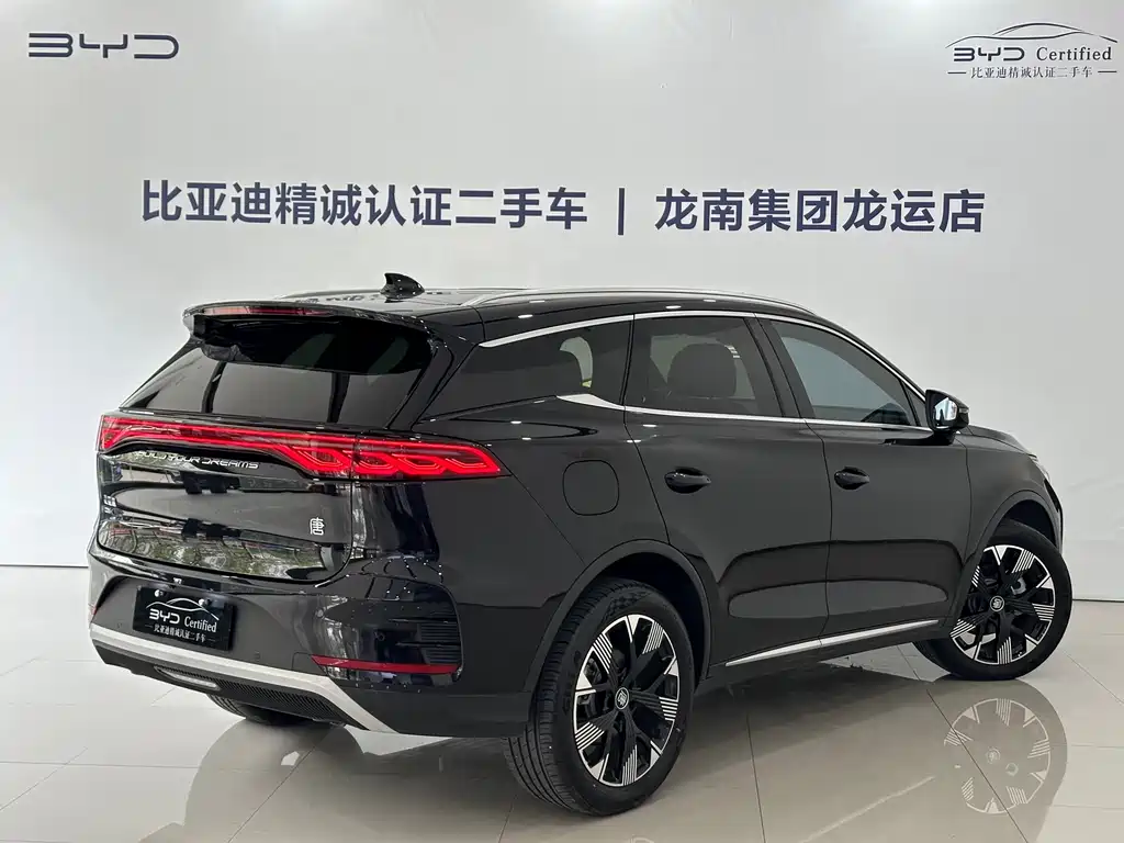 BYD Tang New Energy 2024 — фото 14