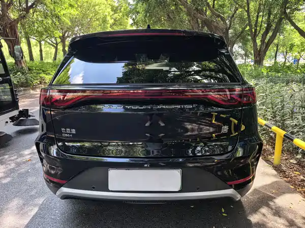BYD Tang New Energy 2025