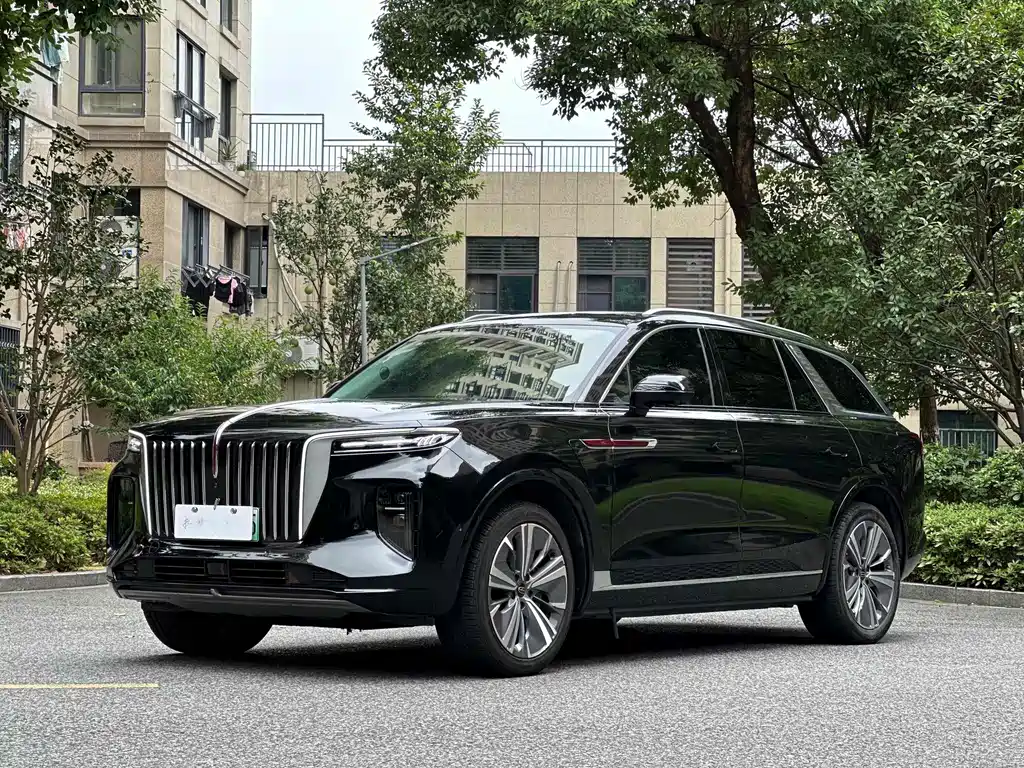 Hongqi E-HS9 2021