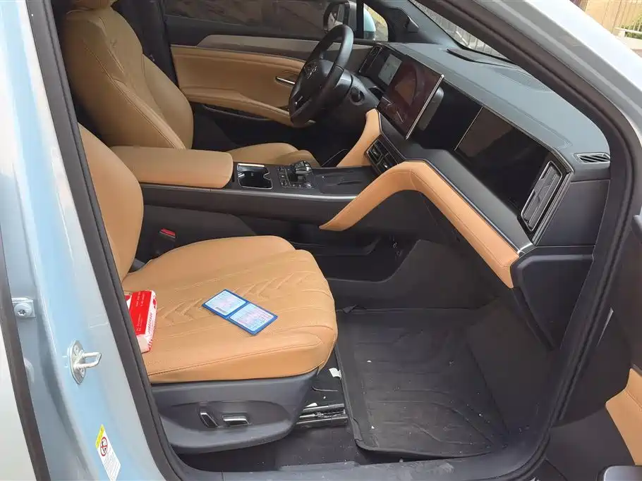 BYD L DM-i 2024 — фото 8