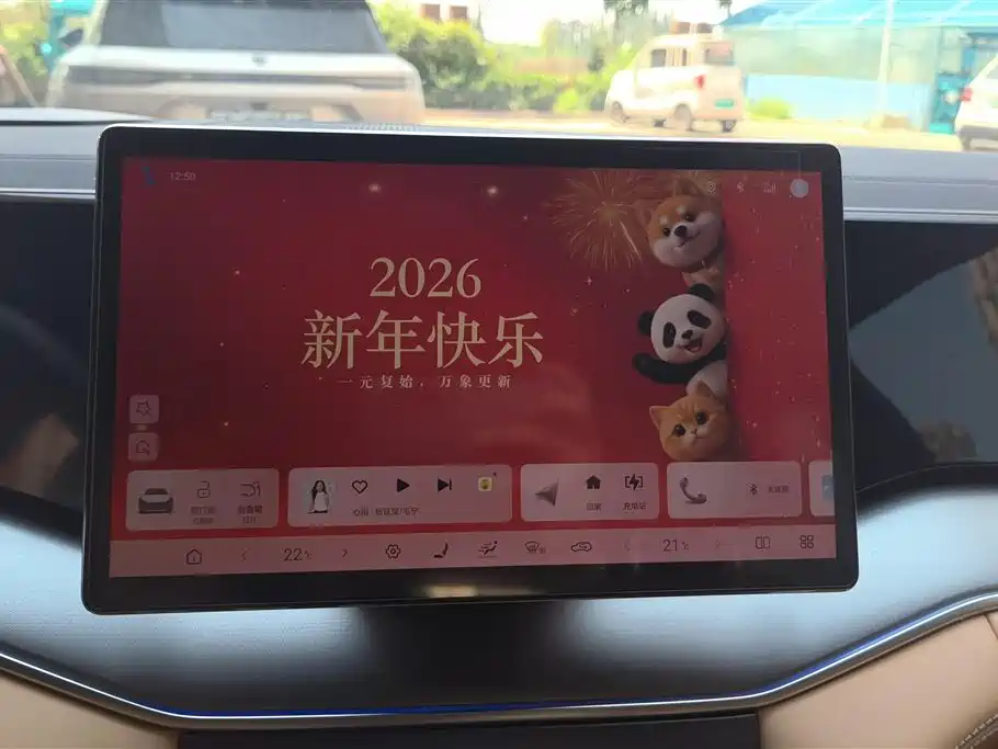 BYD L DM-i 2024 — фото 13