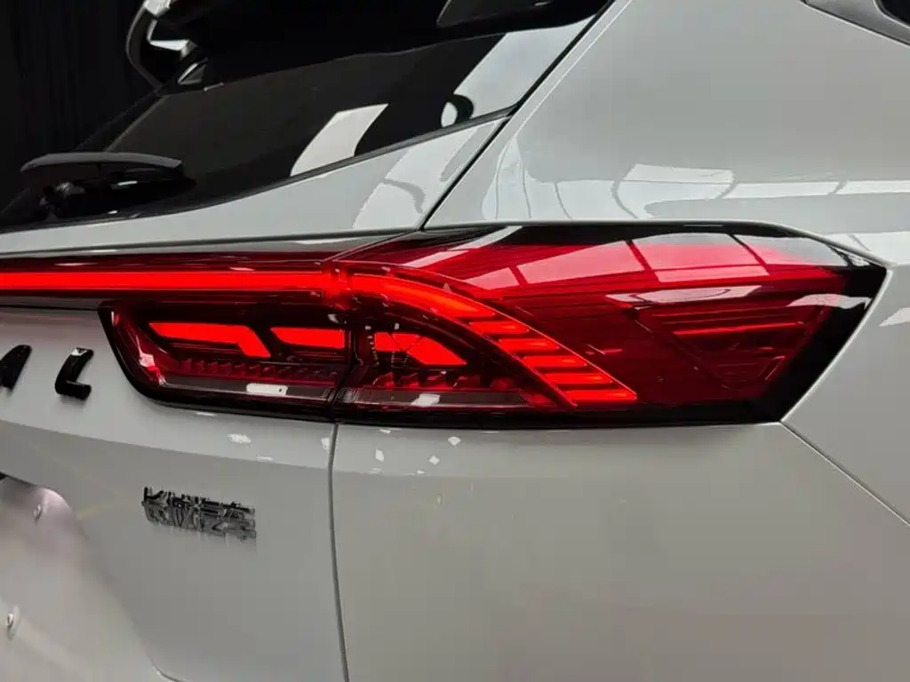 Haval H6 2023 — фото 20