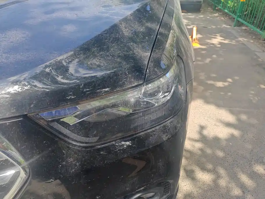 Haval H6 2020