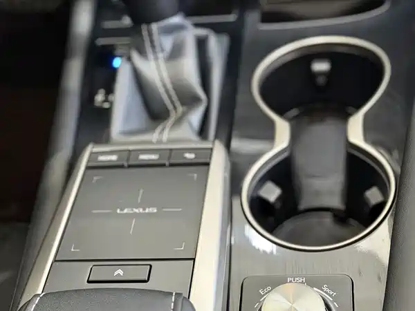 Lexus RX 2020