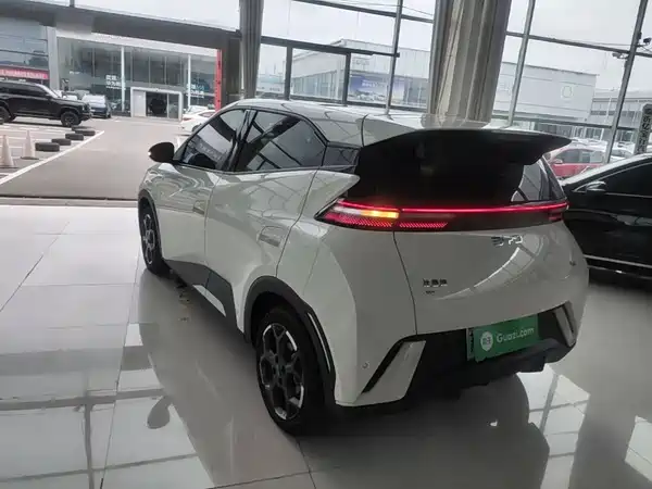 BYD Seagull 2024