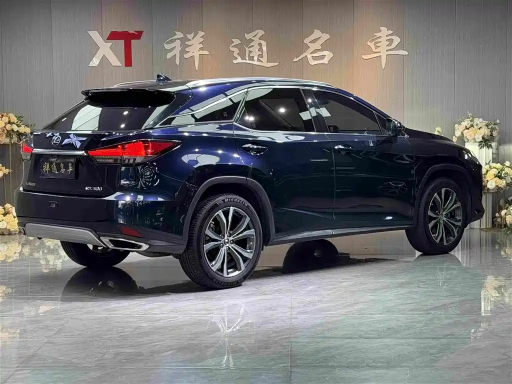 Lexus RX 2020 — фото 23