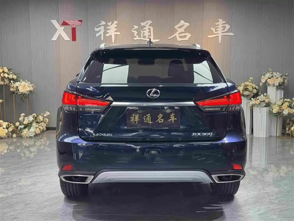 Lexus RX 2020 — фото 22
