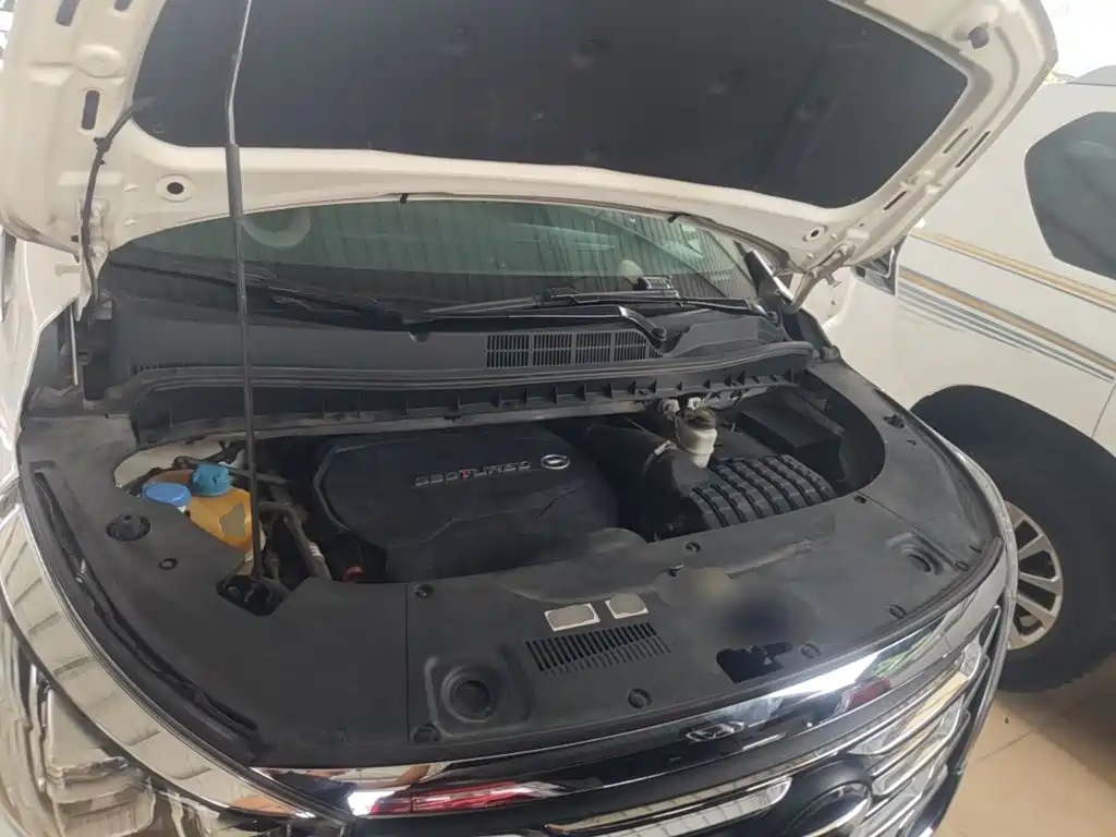 GAC Motor Trumpchi M8 2020 — фото 20