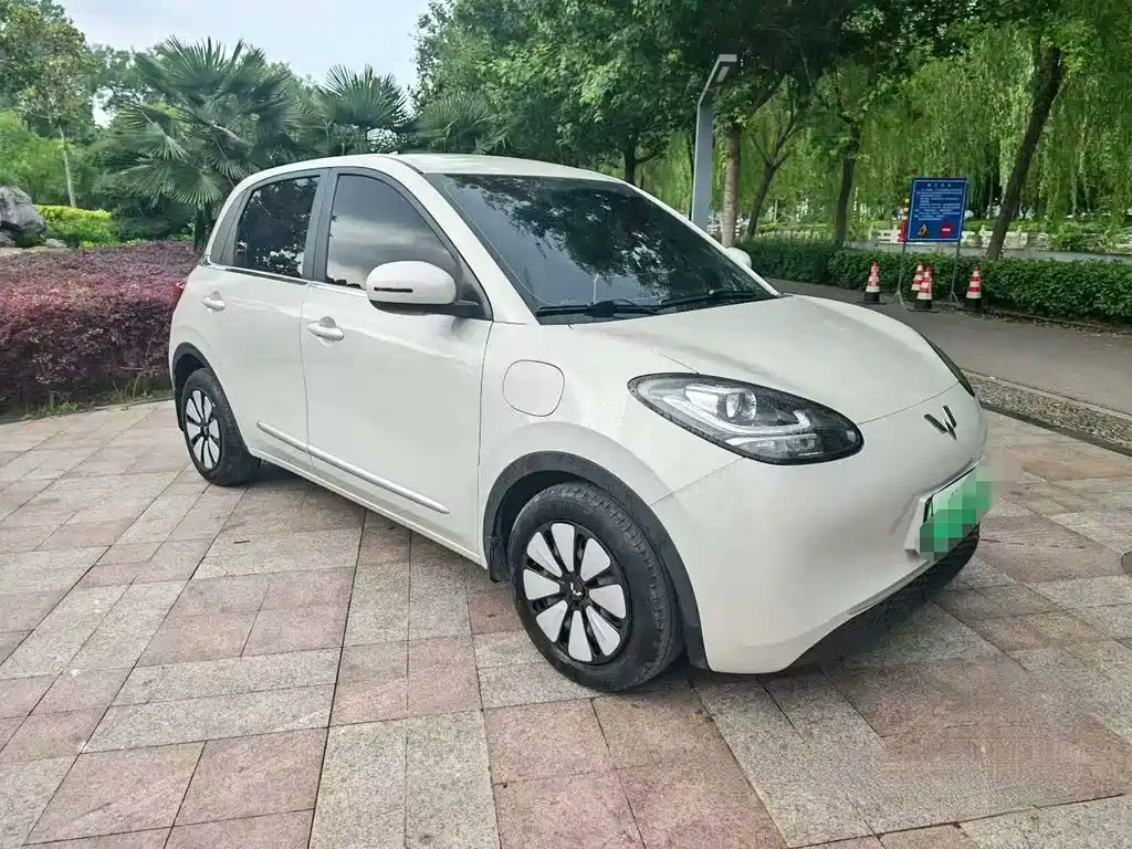 Wuling Bingo 2024