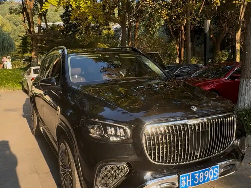 Mercedes-Benz GLS 2023 — фото 13