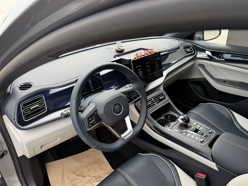 BYD Qin PLUS 2023 — фото 10