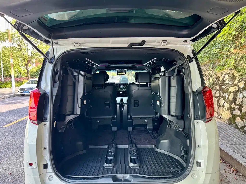 Toyota Alphard 2019 — фото 28