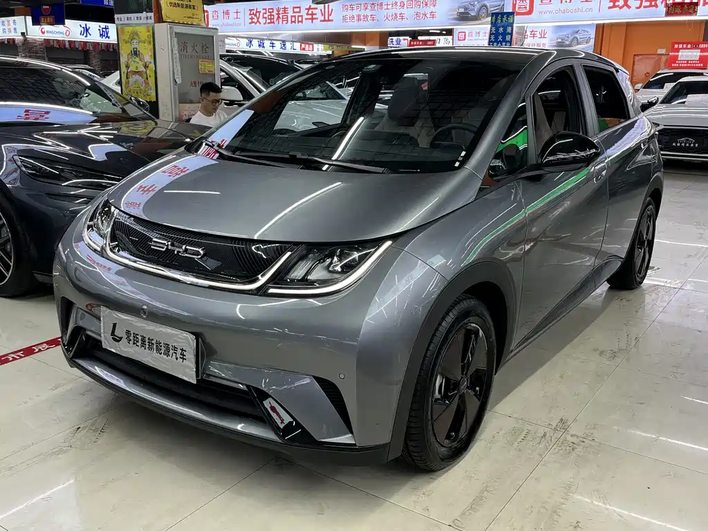 BYD Dolphin 2023