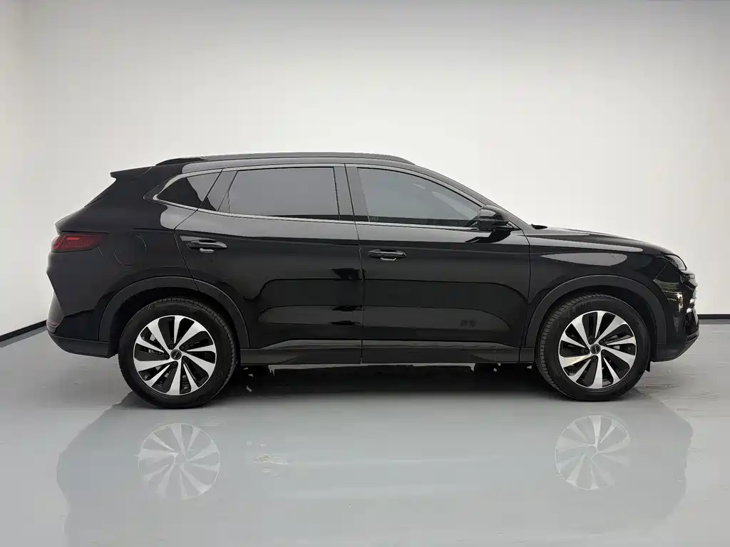 BYD Song PLUS New Energy 2024 — фото 8