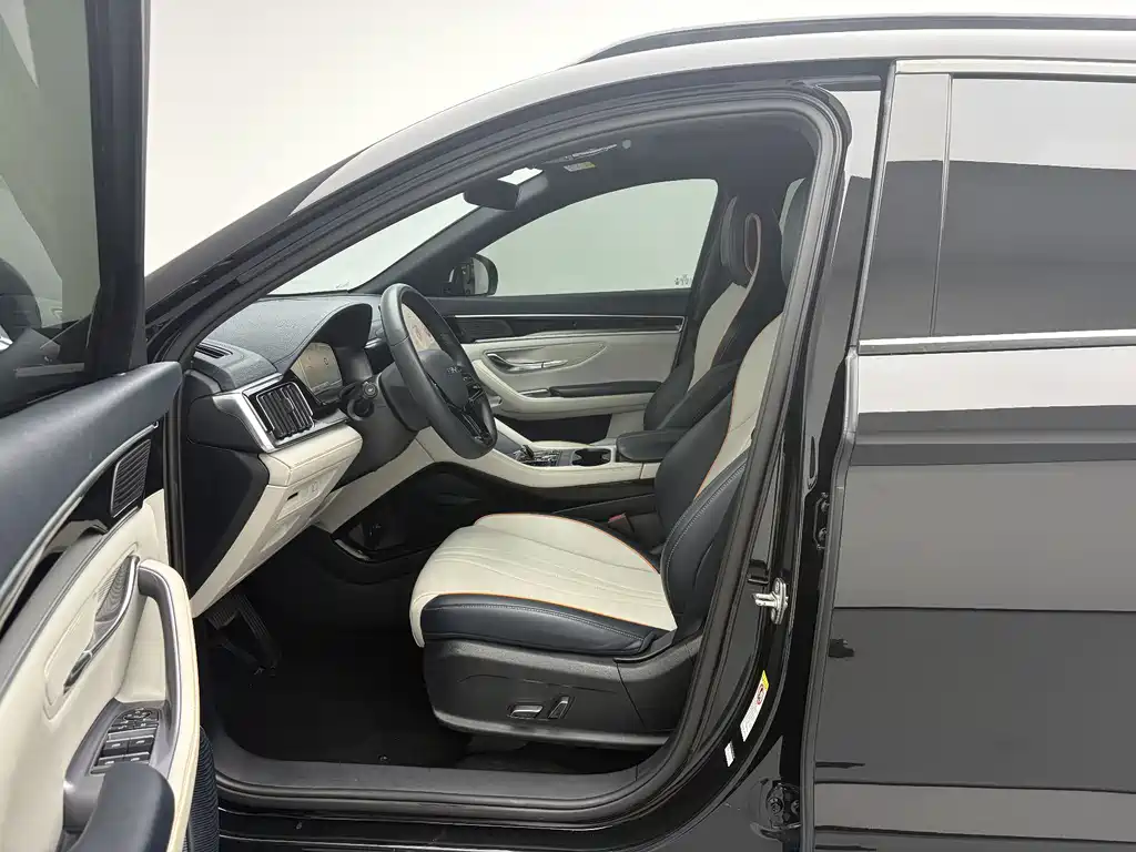 BYD Song PLUS New Energy 2024 — фото 12