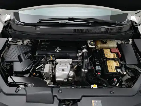 Buick GL6 2019