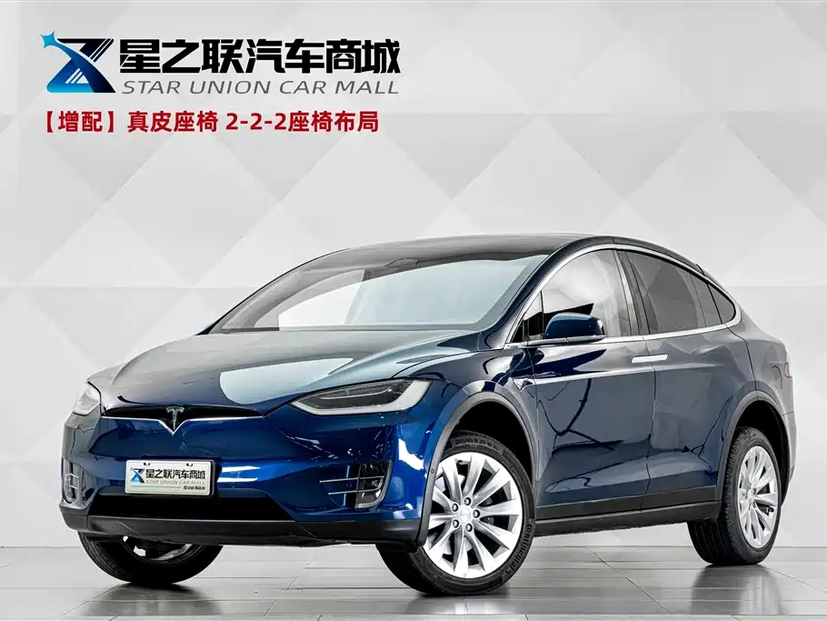 Tesla Model X 2019 — фото 1
