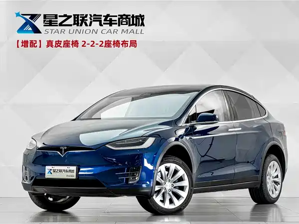 Tesla Model X 2019