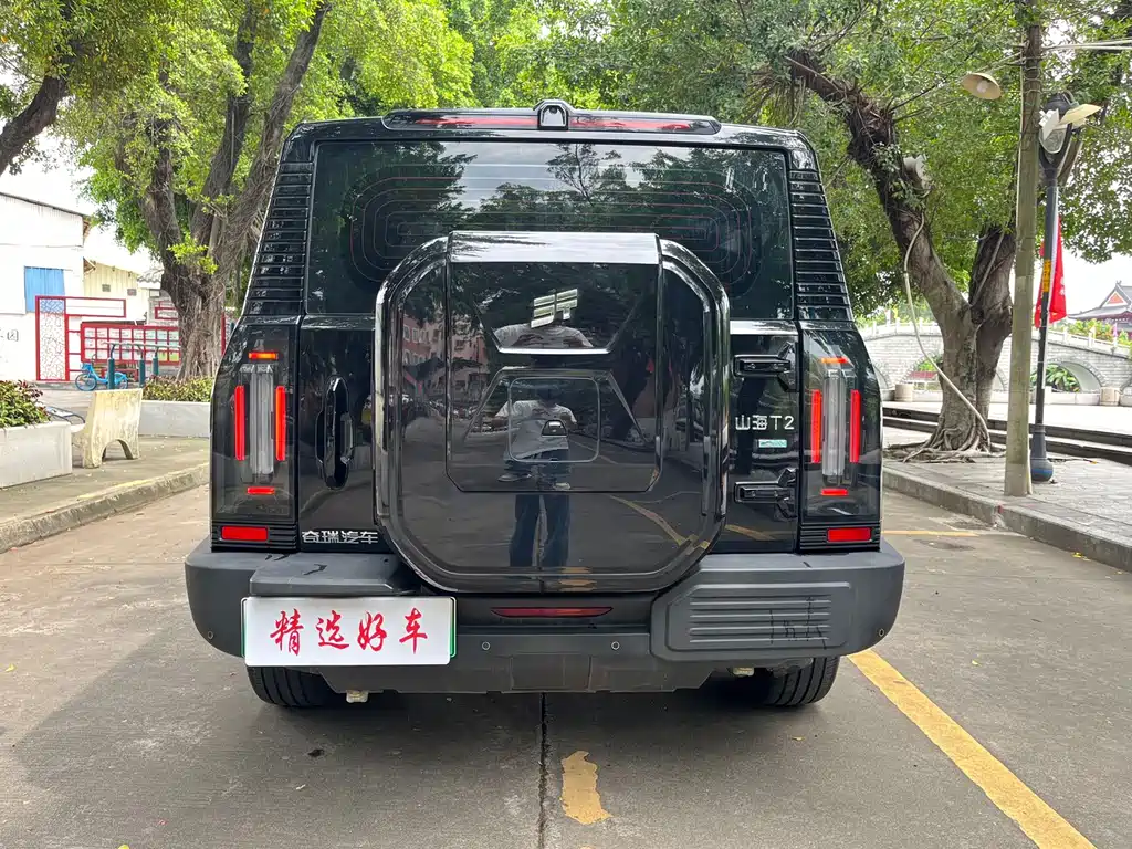 Shanhai Traveller C-DM 2025 — фото 3
