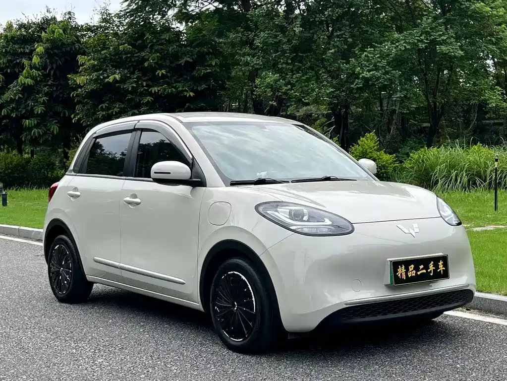 Wuling Bingo 2024